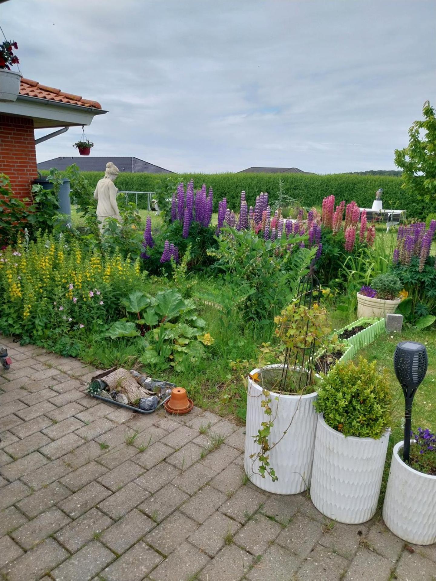 Falster Vaerelse Væggerløse Exterior foto